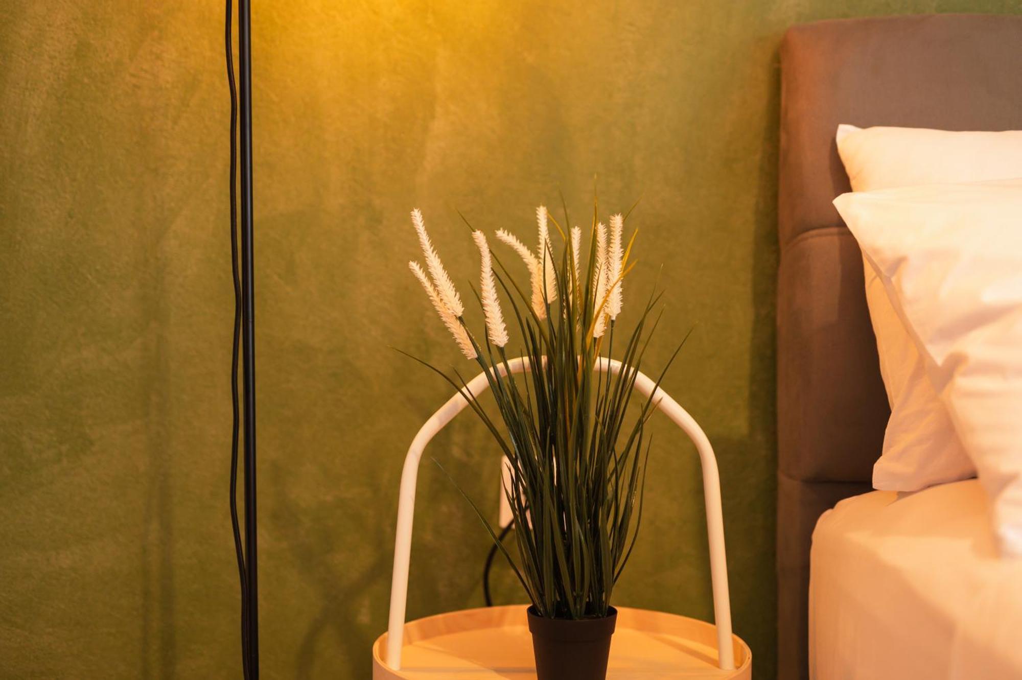 Ancient Forest Suite By Heeaven'S Hall Luxury Suites Alexandrópolis Exterior foto